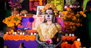 Mexico's Folklore and Festivals Celebrations from North to South